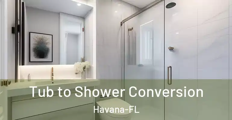 inner Bathroom imggen Tub to Shower Conversion Havana-FL