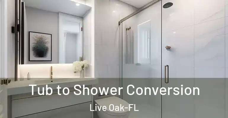 inner Bathroom imggen Tub to Shower Conversion Live Oak-FL