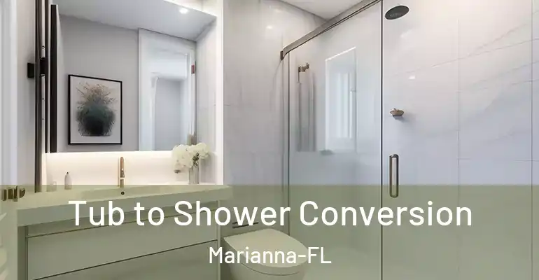 inner Bathroom imggen Tub to Shower Conversion Marianna-FL