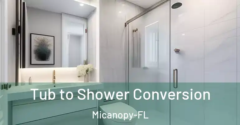 inner Bathroom imggen Tub to Shower Conversion Micanopy-FL