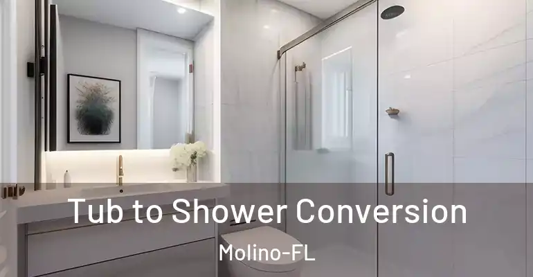 inner Bathroom imggen Tub to Shower Conversion Molino-FL
