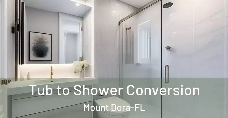 inner Bathroom imggen Tub to Shower Conversion Mount Dora-FL