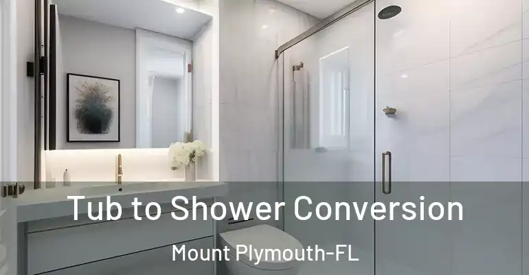 inner Bathroom imggen Tub to Shower Conversion Mount Plymouth-FL