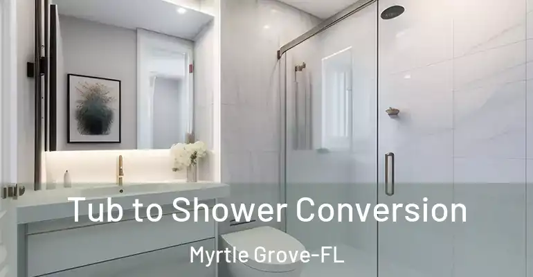inner Bathroom imggen Tub to Shower Conversion Myrtle Grove-FL