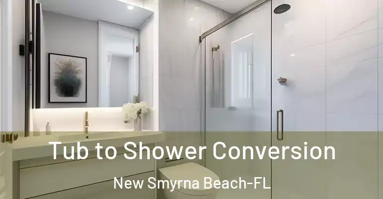 inner Bathroom imggen Tub to Shower Conversion New Smyrna Beach-FL