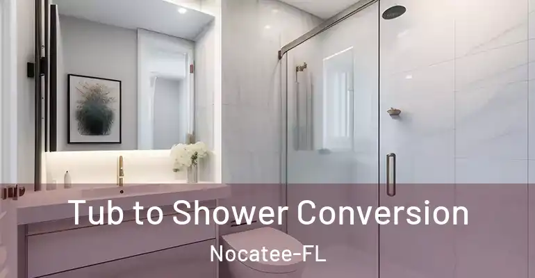 inner Bathroom imggen Tub to Shower Conversion Nocatee-FL
