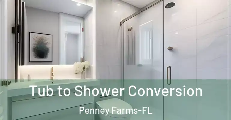 inner Bathroom imggen Tub to Shower Conversion Penney Farms-FL