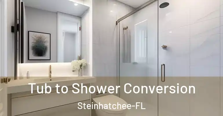 inner Bathroom imggen Tub to Shower Conversion Steinhatchee-FL