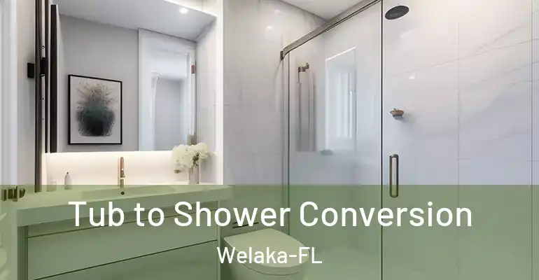 inner Bathroom imggen Tub to Shower Conversion Welaka-FL