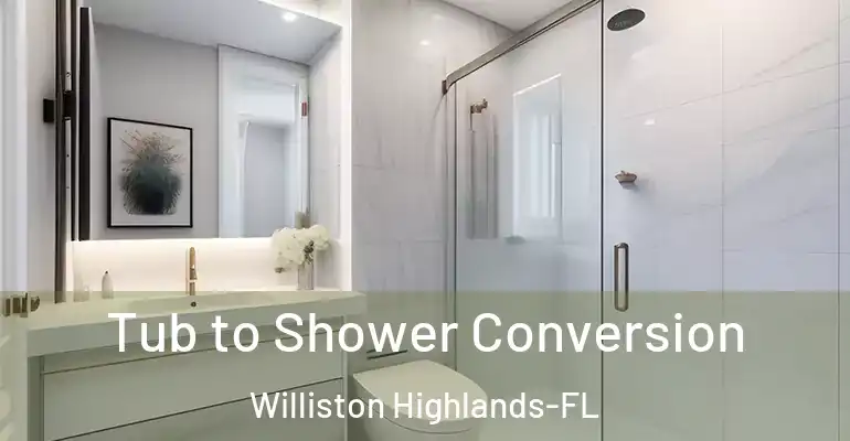 inner Bathroom imggen Tub to Shower Conversion Williston Highlands-FL