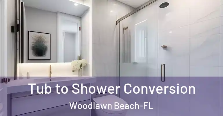 inner Bathroom imggen Tub to Shower Conversion Woodlawn Beach-FL
