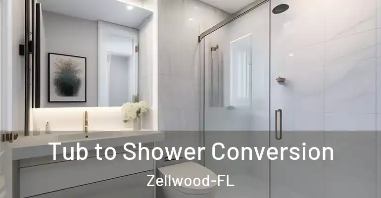 inner Bathroom imggen Tub to Shower Conversion Zellwood-FL