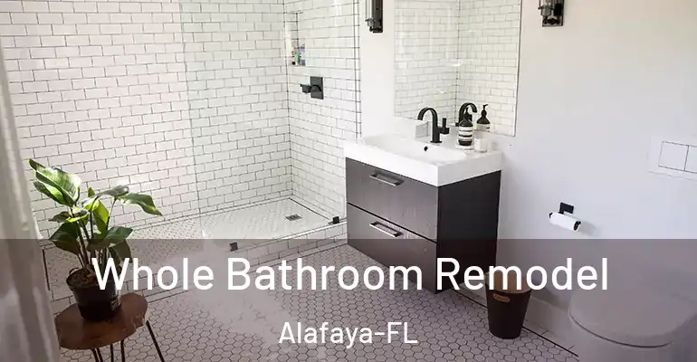 inner Bathroom imggen Whole Bathroom Remodel Alafaya-FL