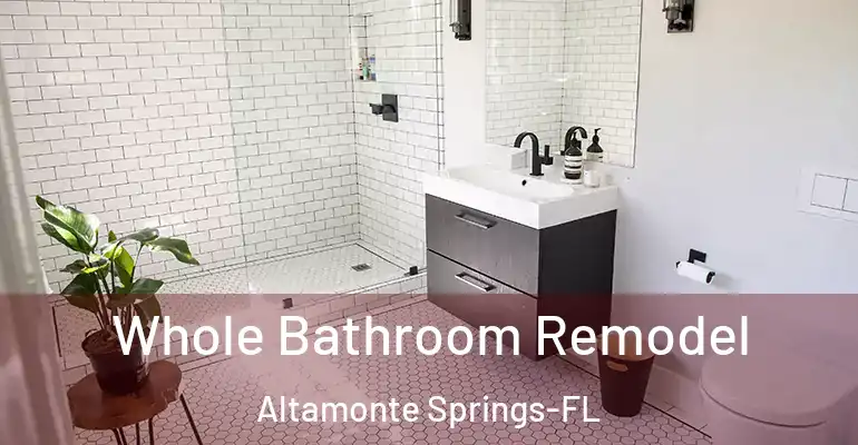 inner Bathroom imggen Whole Bathroom Remodel Altamonte Springs-FL