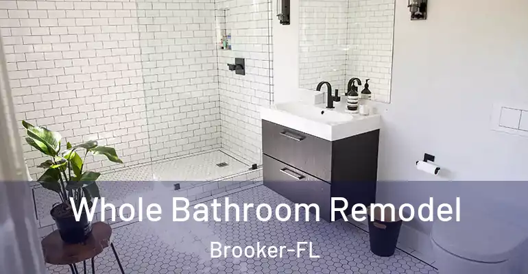 inner Bathroom imggen Whole Bathroom Remodel Brooker-FL