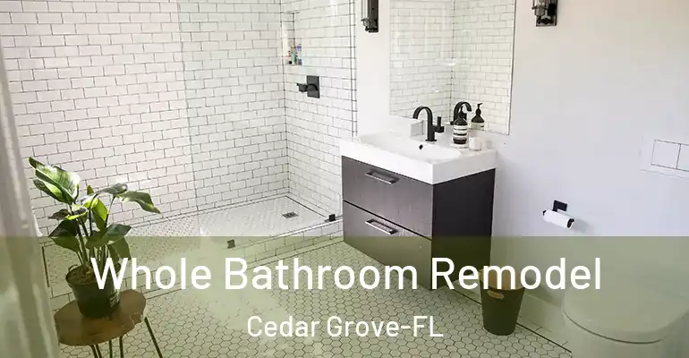 inner Bathroom imggen Whole Bathroom Remodel Cedar Grove-FL