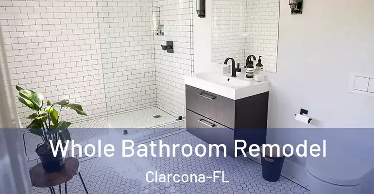 inner Bathroom imggen Whole Bathroom Remodel Clarcona-FL