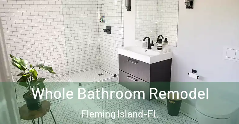 inner Bathroom imggen Whole Bathroom Remodel Fleming Island-FL