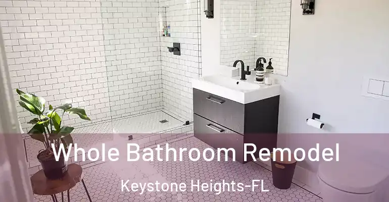 inner Bathroom imggen Whole Bathroom Remodel Keystone Heights-FL