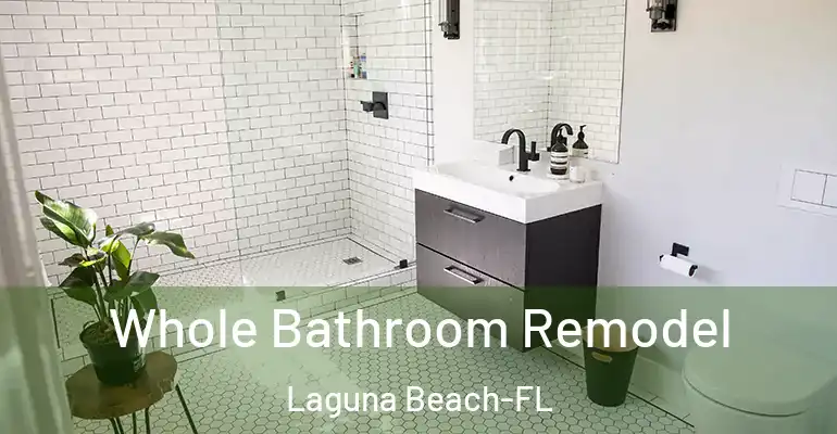 inner Bathroom imggen Whole Bathroom Remodel Laguna Beach-FL