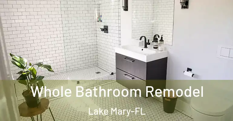 inner Bathroom imggen Whole Bathroom Remodel Lake Mary-FL