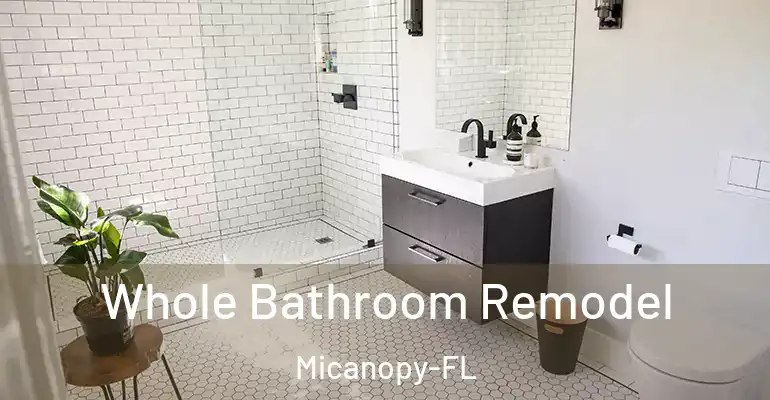inner Bathroom imggen Whole Bathroom Remodel Micanopy-FL