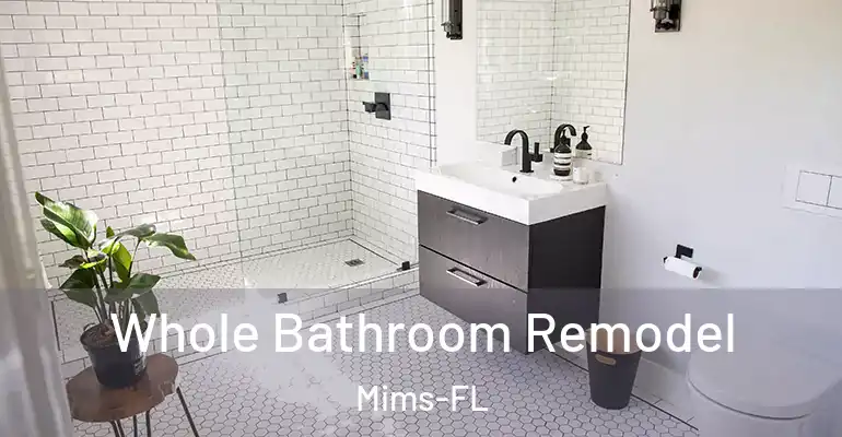 inner Bathroom imggen Whole Bathroom Remodel Mims-FL