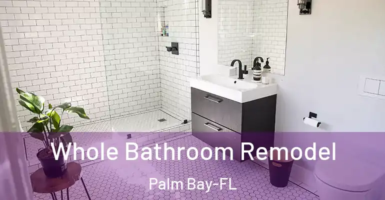 inner Bathroom imggen Whole Bathroom Remodel Palm Bay-FL