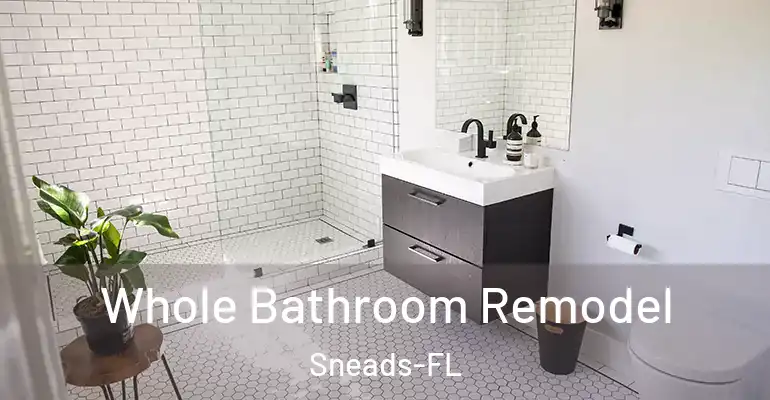 inner Bathroom imggen Whole Bathroom Remodel Sneads-FL