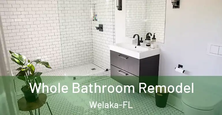 inner Bathroom imggen Whole Bathroom Remodel Welaka-FL