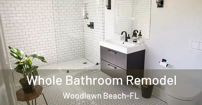 inner Bathroom imggen Whole Bathroom Remodel Woodlawn Beach-FL